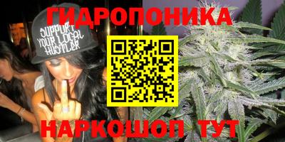 ешки Тверь
